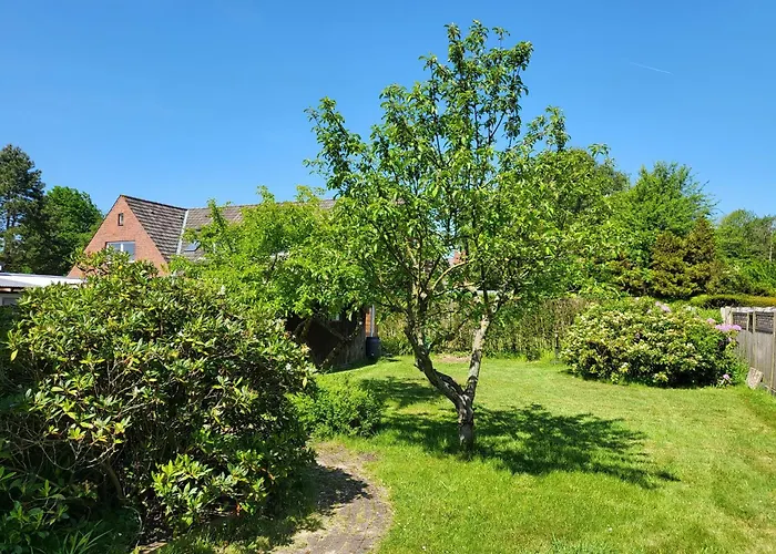 Appartamento Diek 21 Noord *