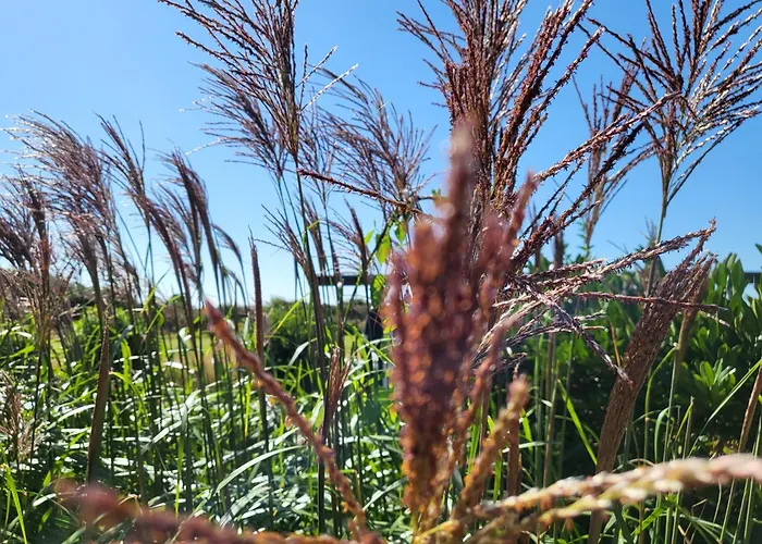 Appartamento Diek 21 Noord *